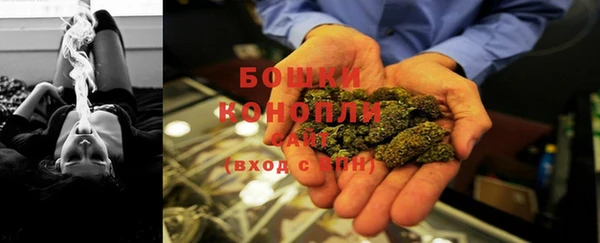 тгк Ельня