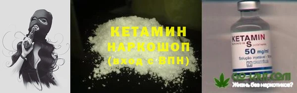 тгк Ельня
