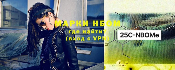 тгк Ельня