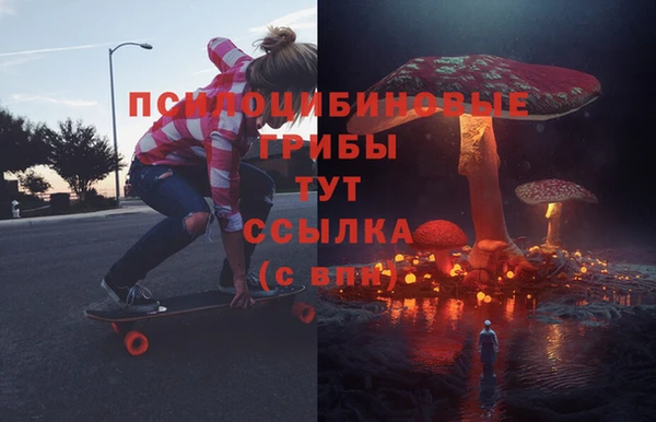 тгк Ельня