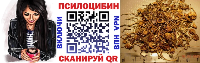 Купить где  Кондопога  Псилоцибиновые грибы Magic Shrooms 